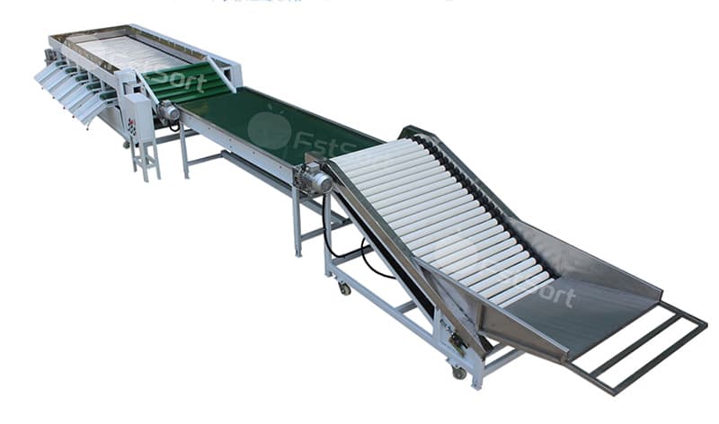 images/1756198595220mangosteen sorting machine.jpg